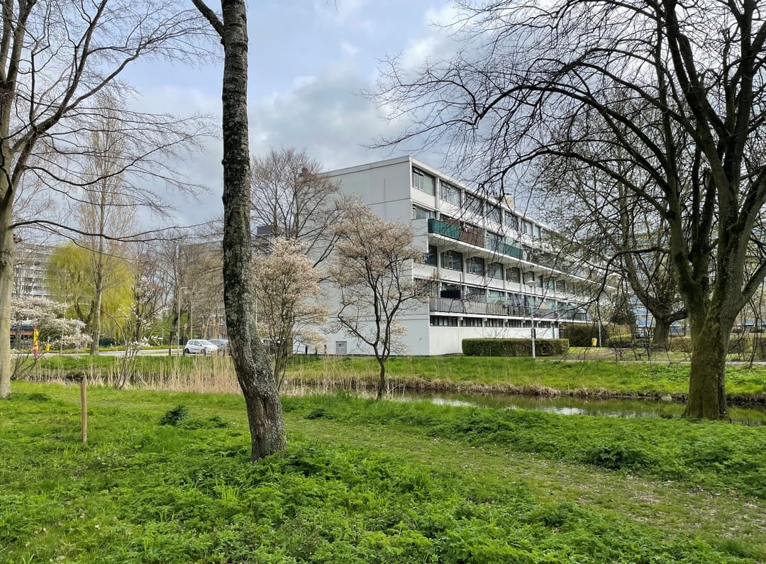 Foto 32 van Vliestroom 319