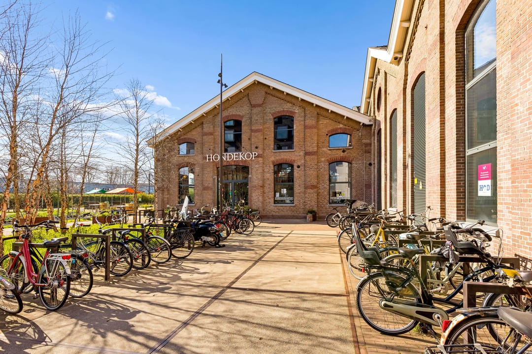 Photo 23 of Bromwissel 49