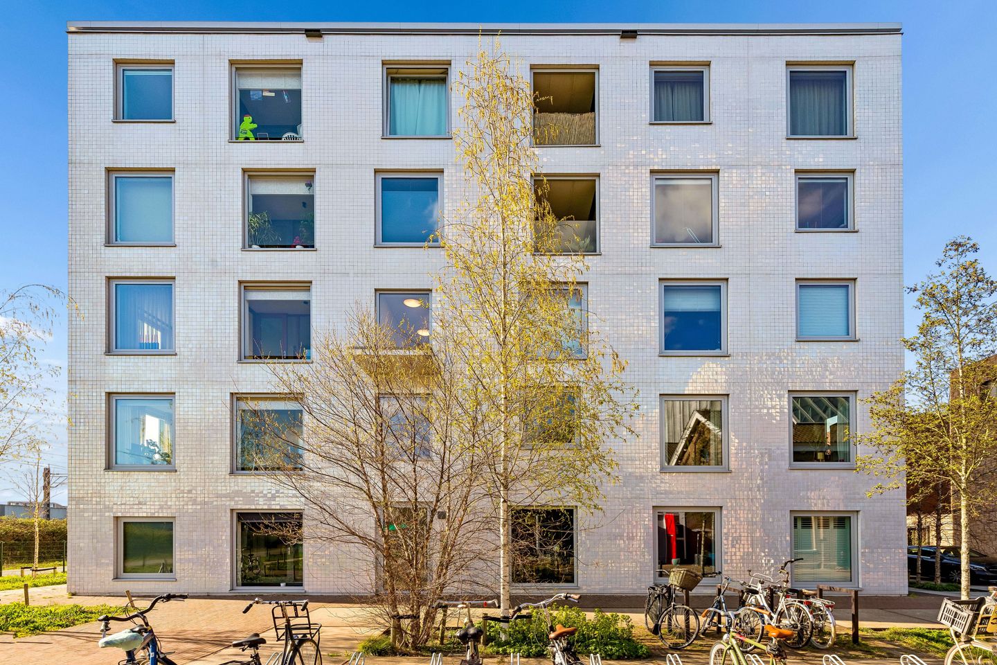 Photo 25 of Bromwissel 49