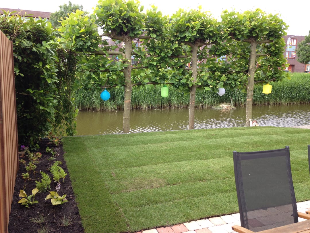 Foto 13 van Eendenbrink 9