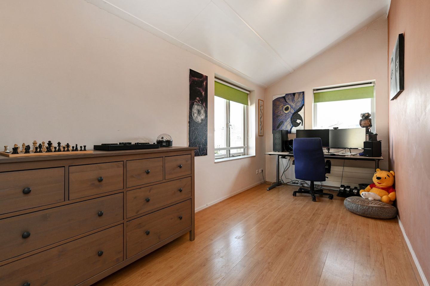 Foto 49 van Eendenbrink 9