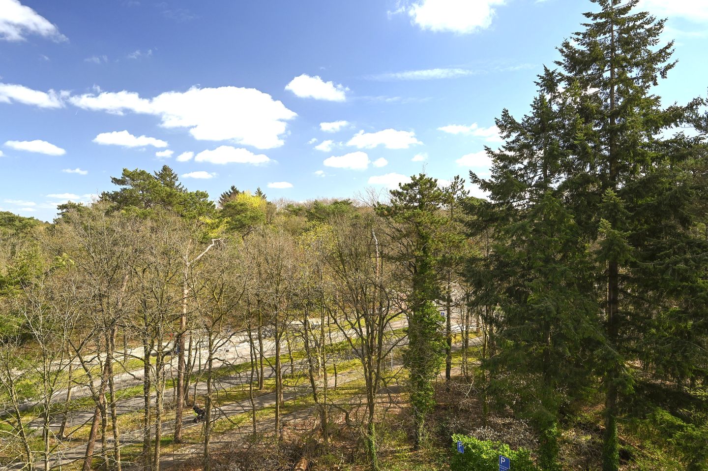 Photo 20 of Arnhemse Bovenweg 18-53