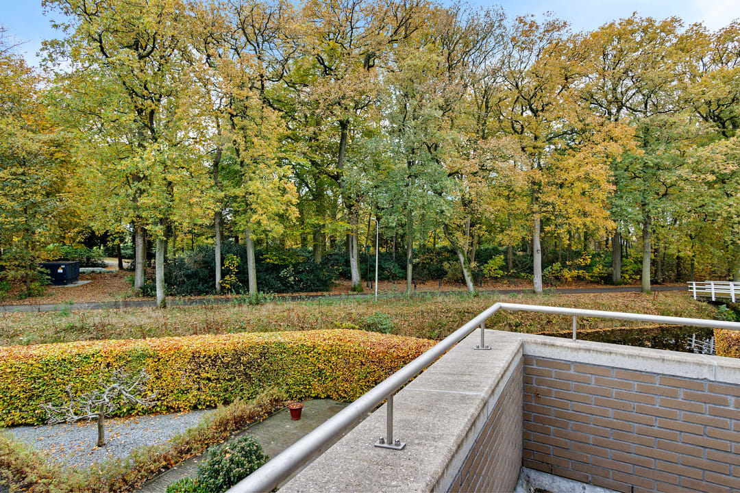 Foto 7 van It Sein 45