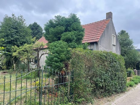 undefined main image