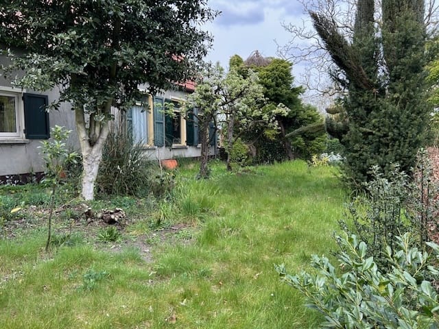 Detached Renovation Opportunity with Outbuildings in Heerle Centre — 13