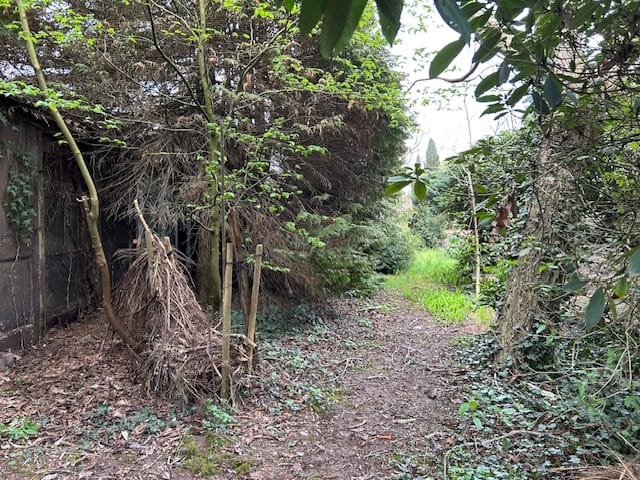 Detached Renovation Opportunity with Outbuildings in Heerle Centre — 12