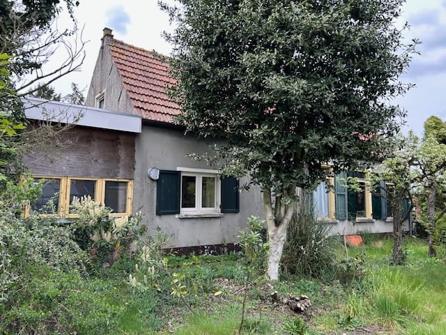 Detached Renovation Opportunity with Outbuildings in Heerle Centre — 14