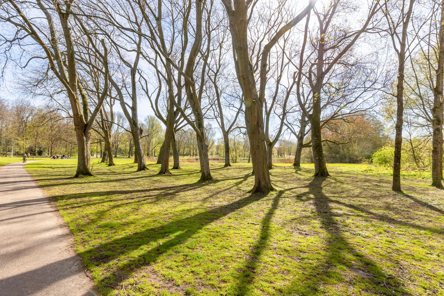 Foto 29 van Nachtwachtlaan 332