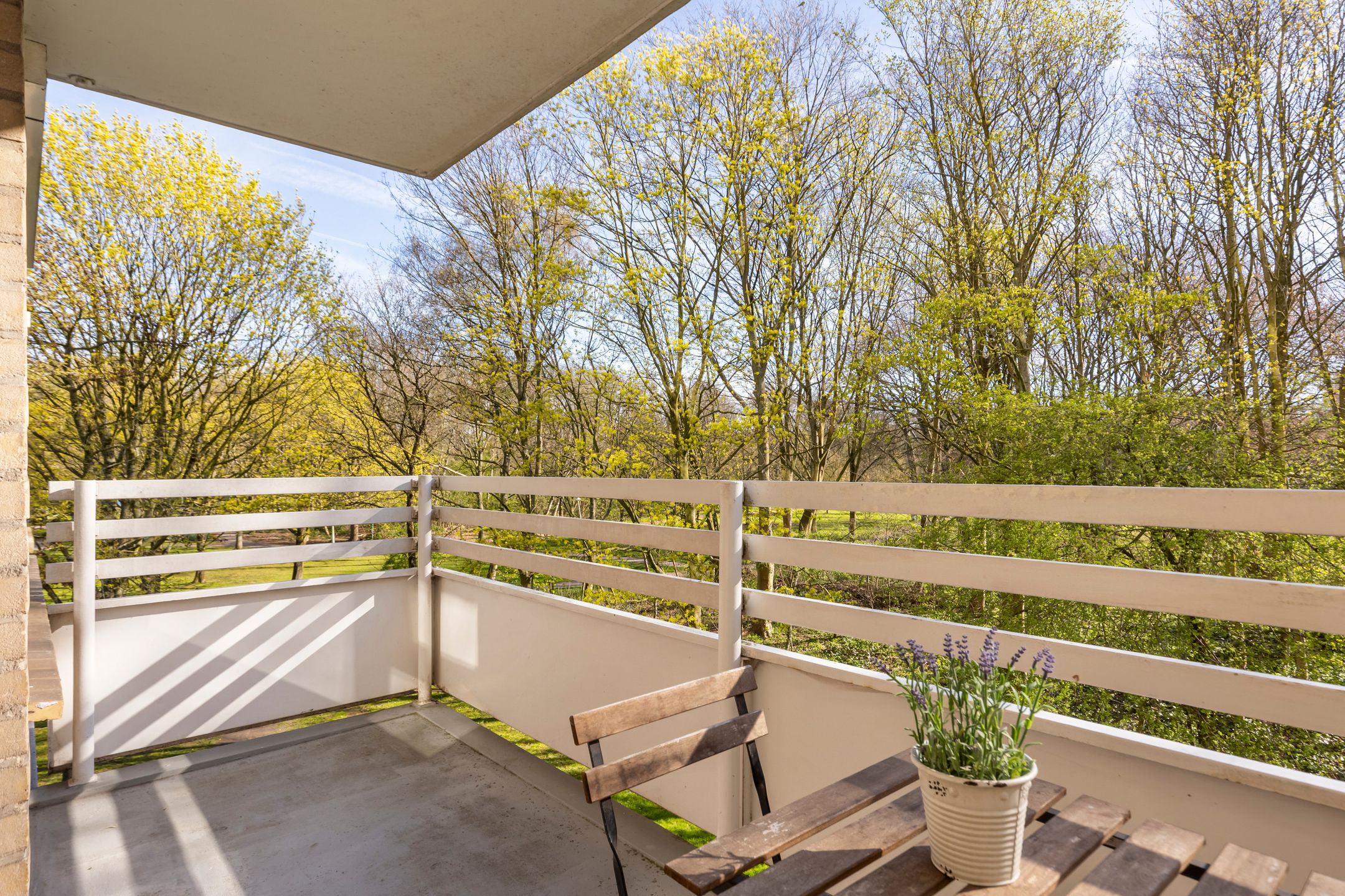 Foto 18 van Nachtwachtlaan 332