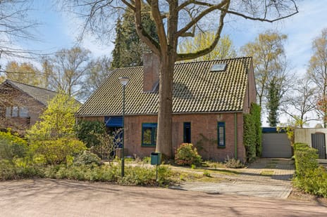 undefined main image