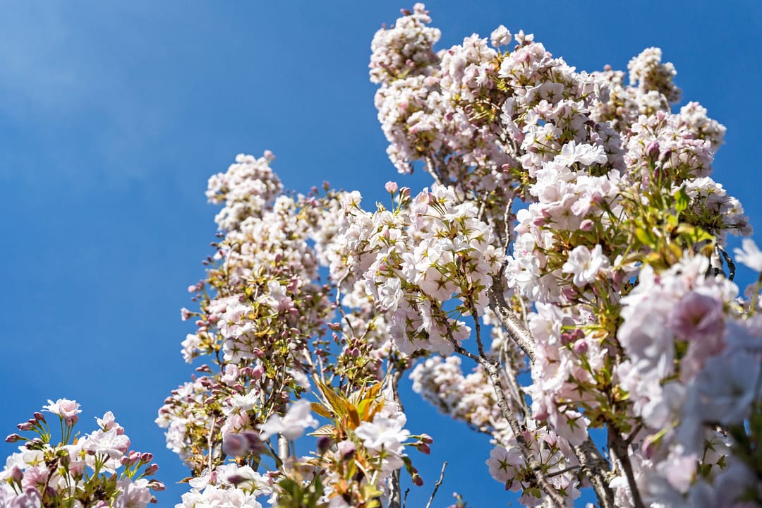 Foto 41 van De Eendrachtswerf 12