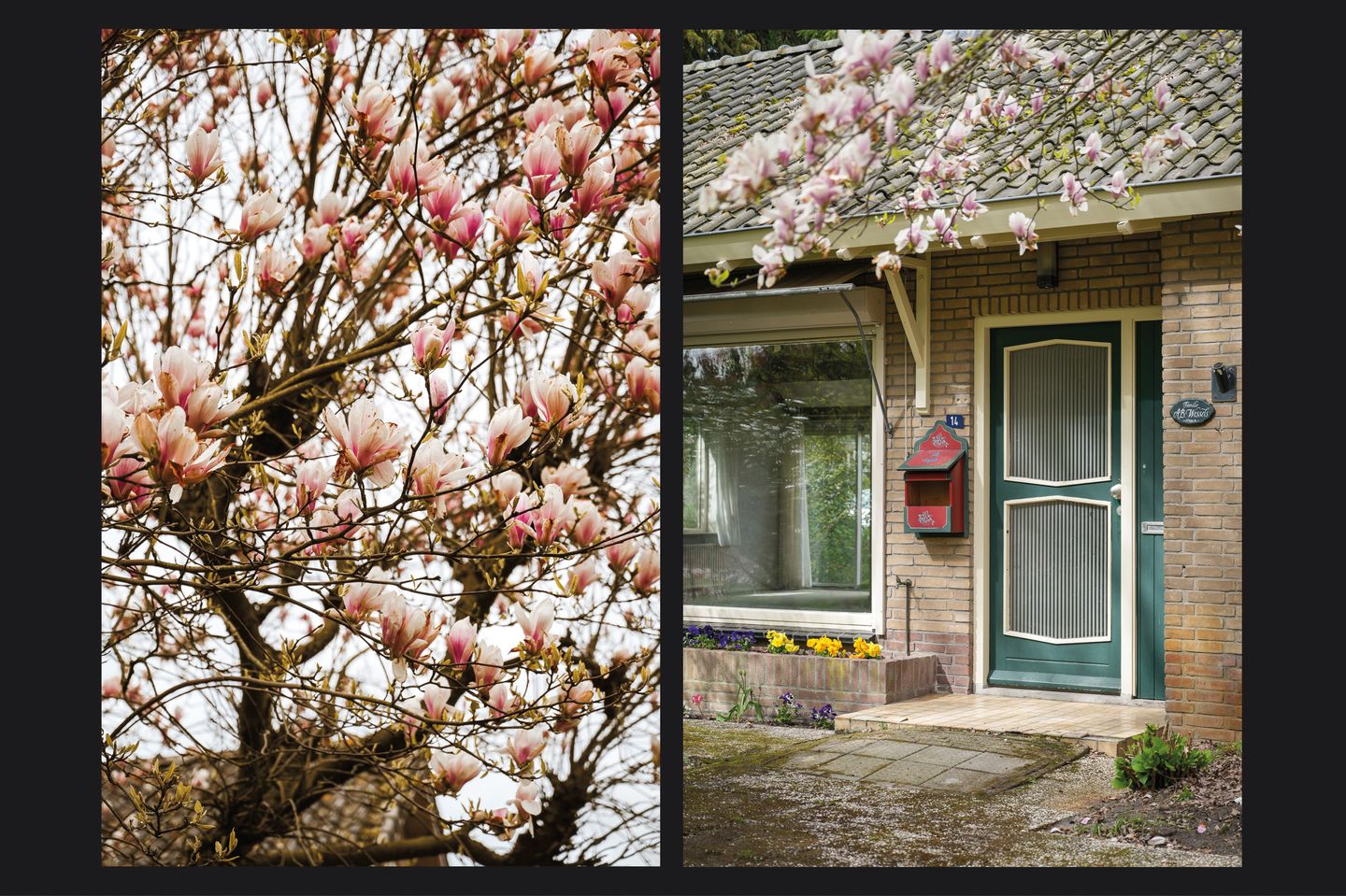 Foto 5 van Achterweg 14