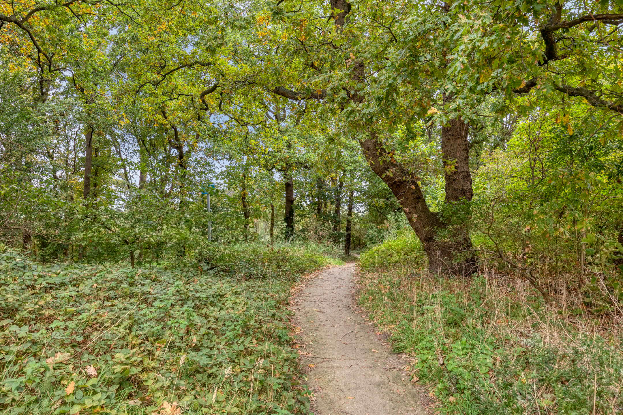 Photo 24 of Waalsdorperweg 345