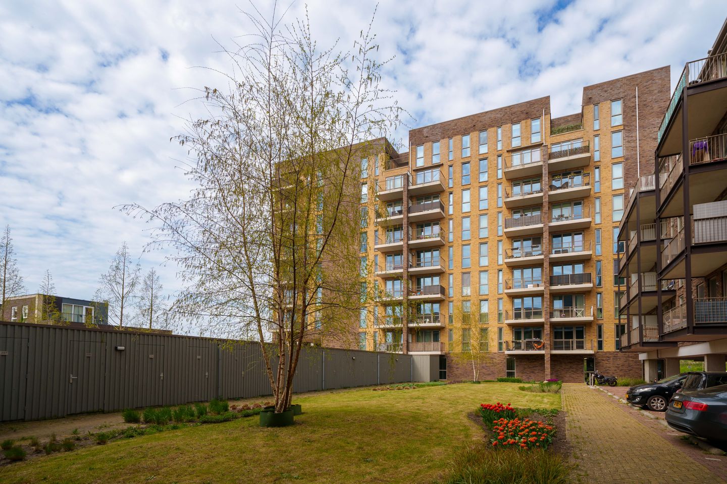 Foto 34 van Tempo Doeloestraat 195