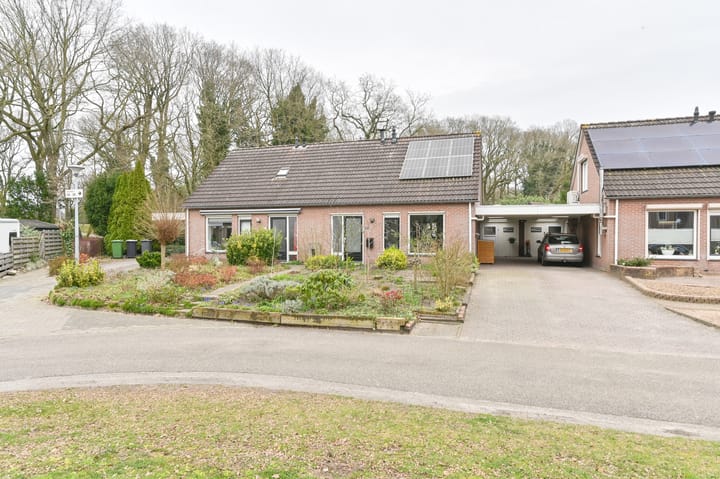 Kuifmees 61 main image