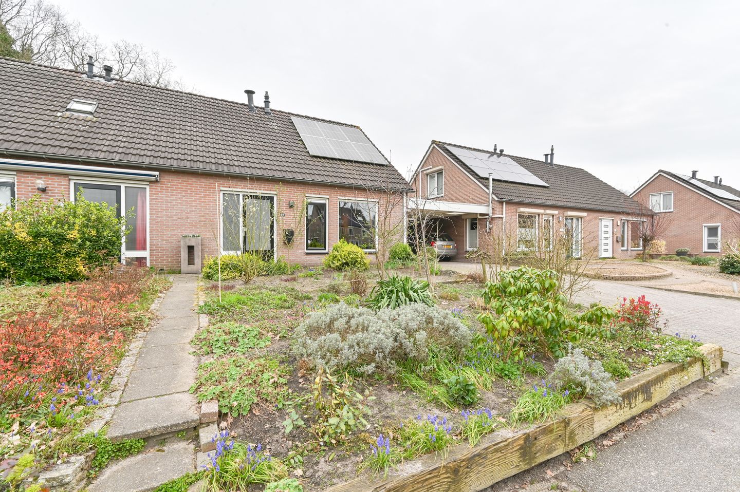 Foto 5 van Kuifmees 61