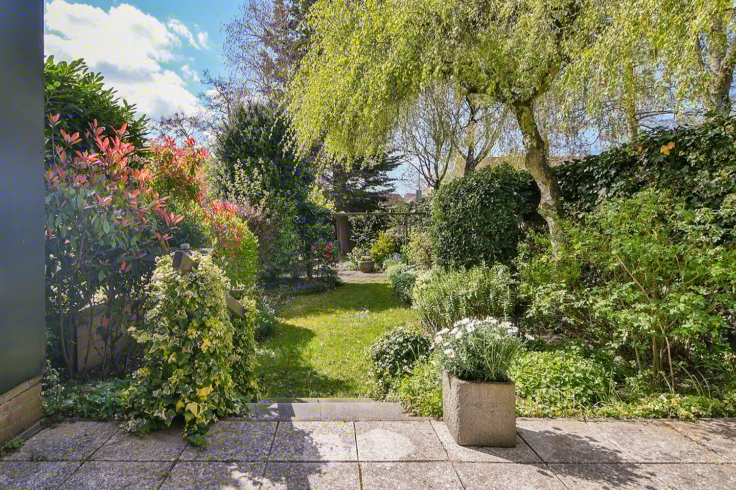 Photo 20 of Musholm 3