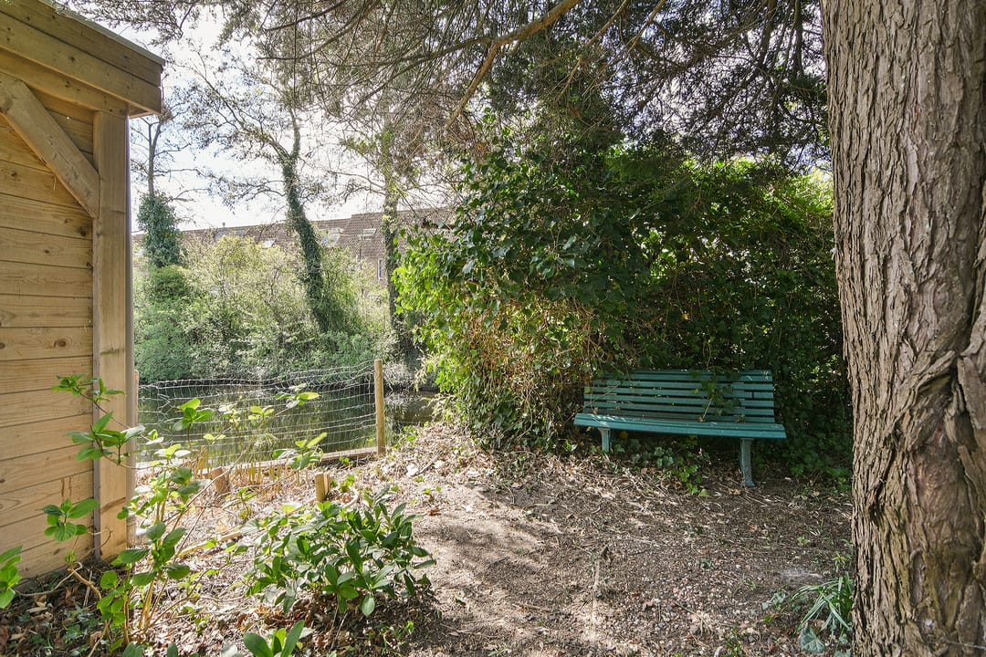 Photo 23 of Musholm 3