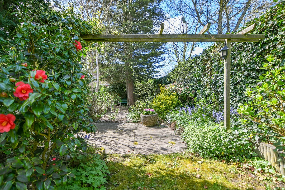 Photo 22 of Musholm 3