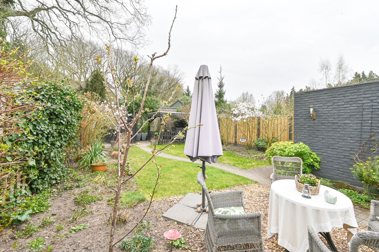 Foto 50 van Kuifmees 61