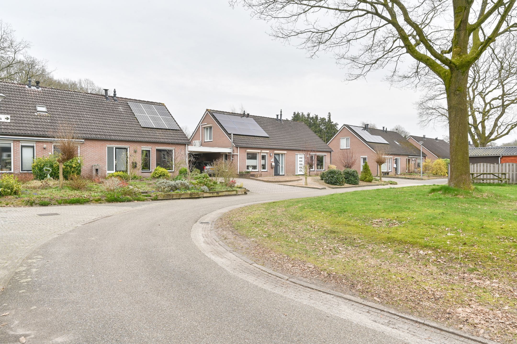 Foto 66 van Kuifmees 61