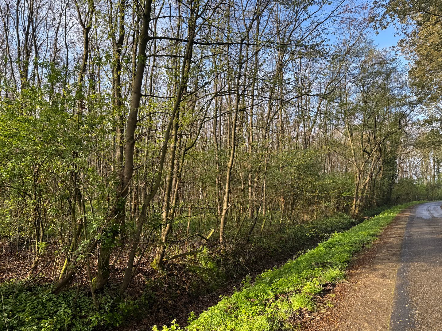 Strubben - Roggel - Afbeelding 7