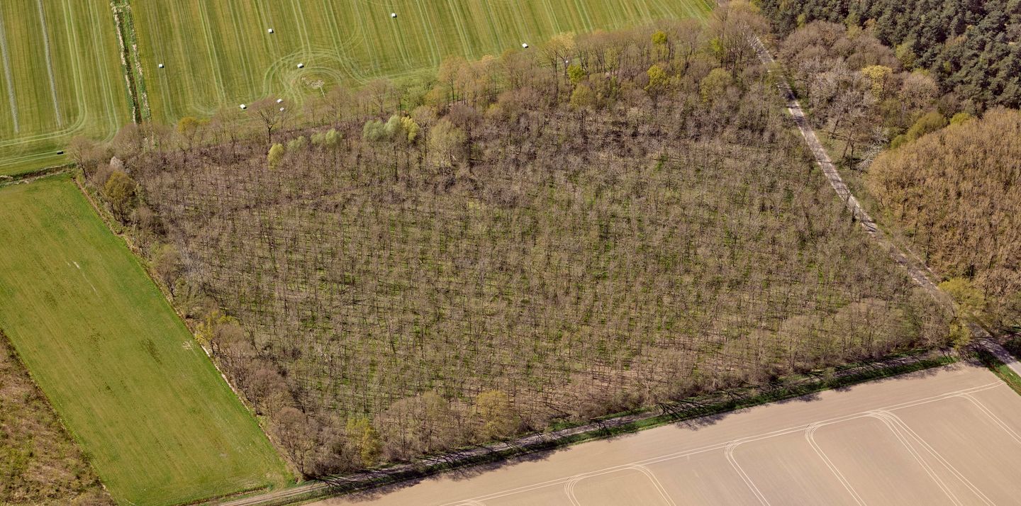 Strubben - Roggel - Afbeelding 5