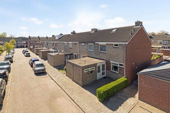 Omloop 61 main image