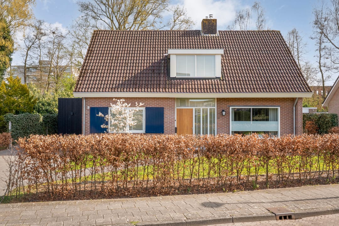 Foto 56 van Mr P J Oudlaan 41