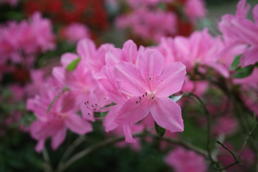 Foto 32 van Ridderstraat 80