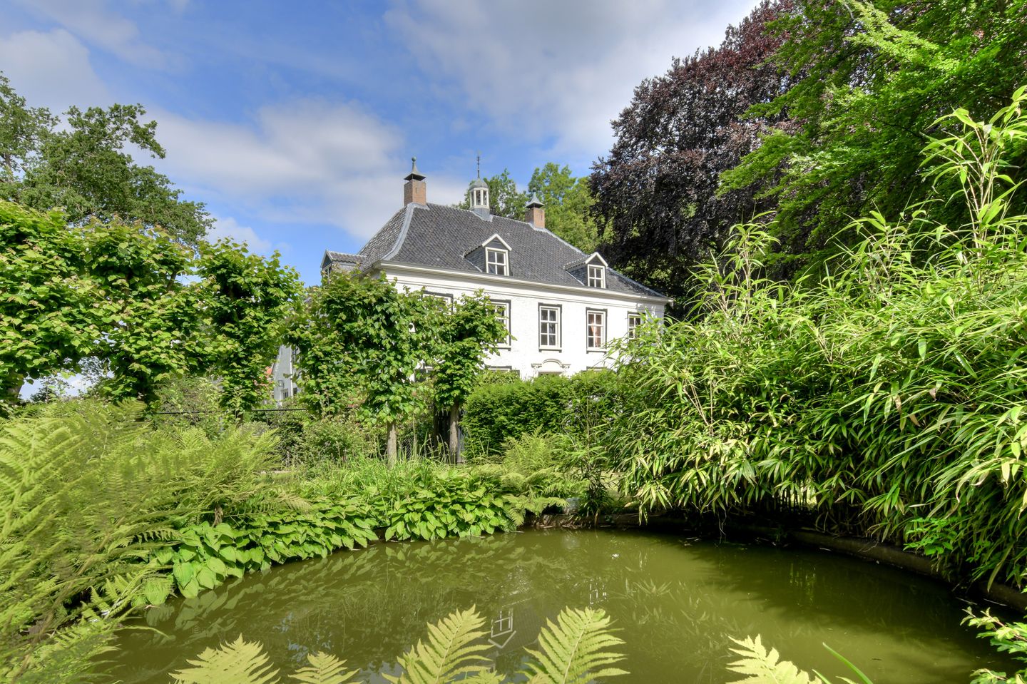 Foto 34 van Ridderstraat 80