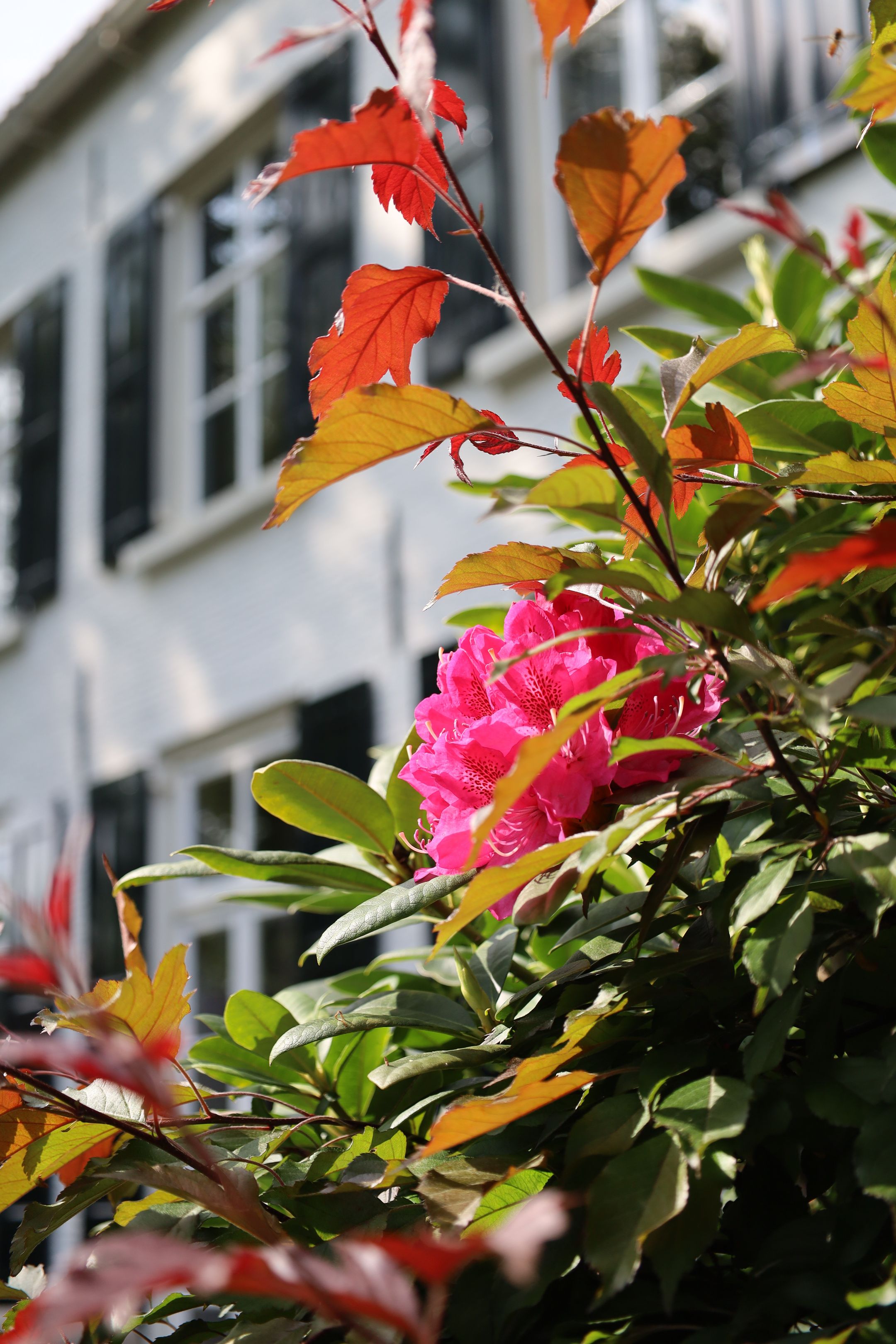 Foto 36 van Ridderstraat 80