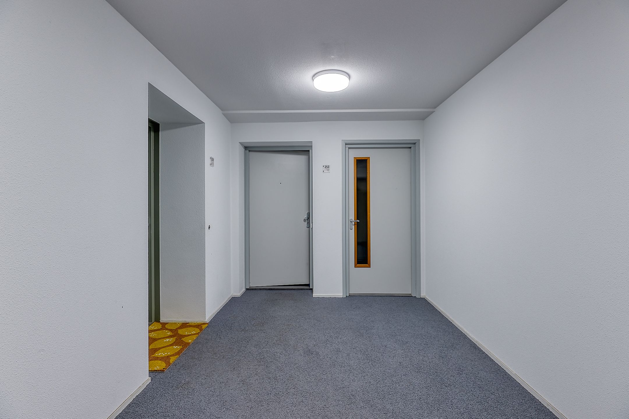 Foto 36 van Prins Willem-Alexanderweg 253