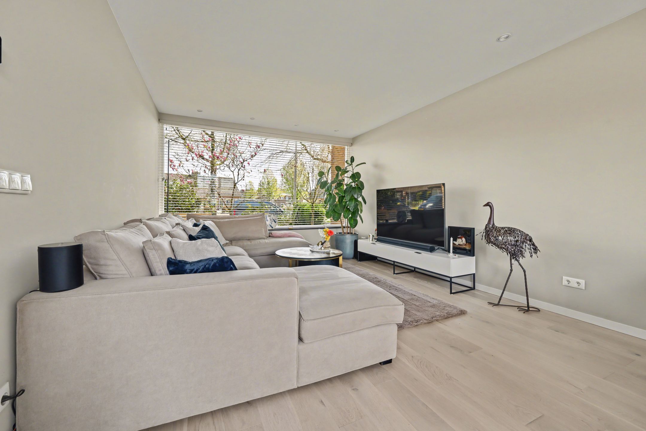 Foto 6 van Jan Steenstraat 28