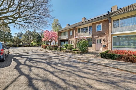 Jan Steenstraat thumbnail