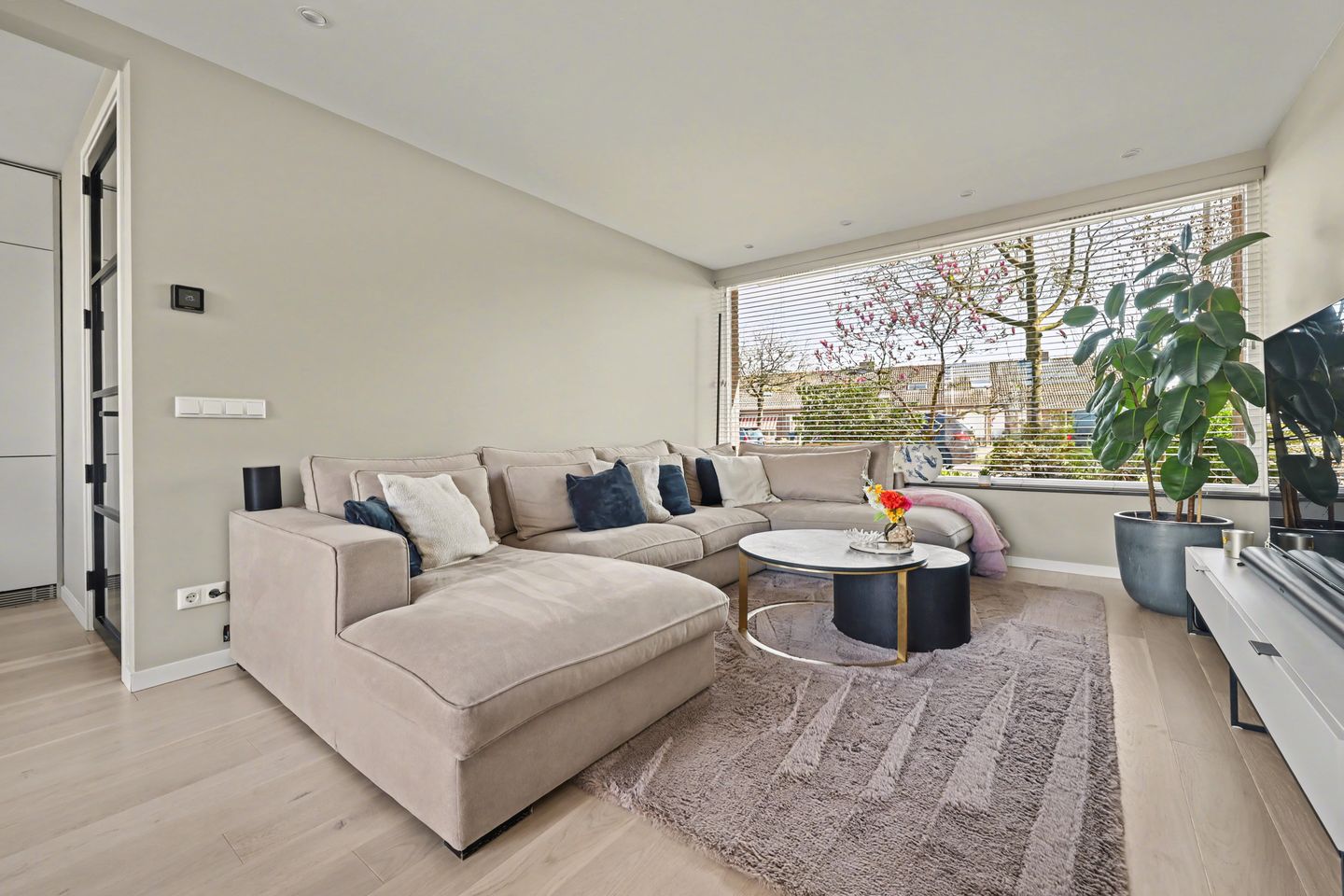 Foto 5 van Jan Steenstraat 28