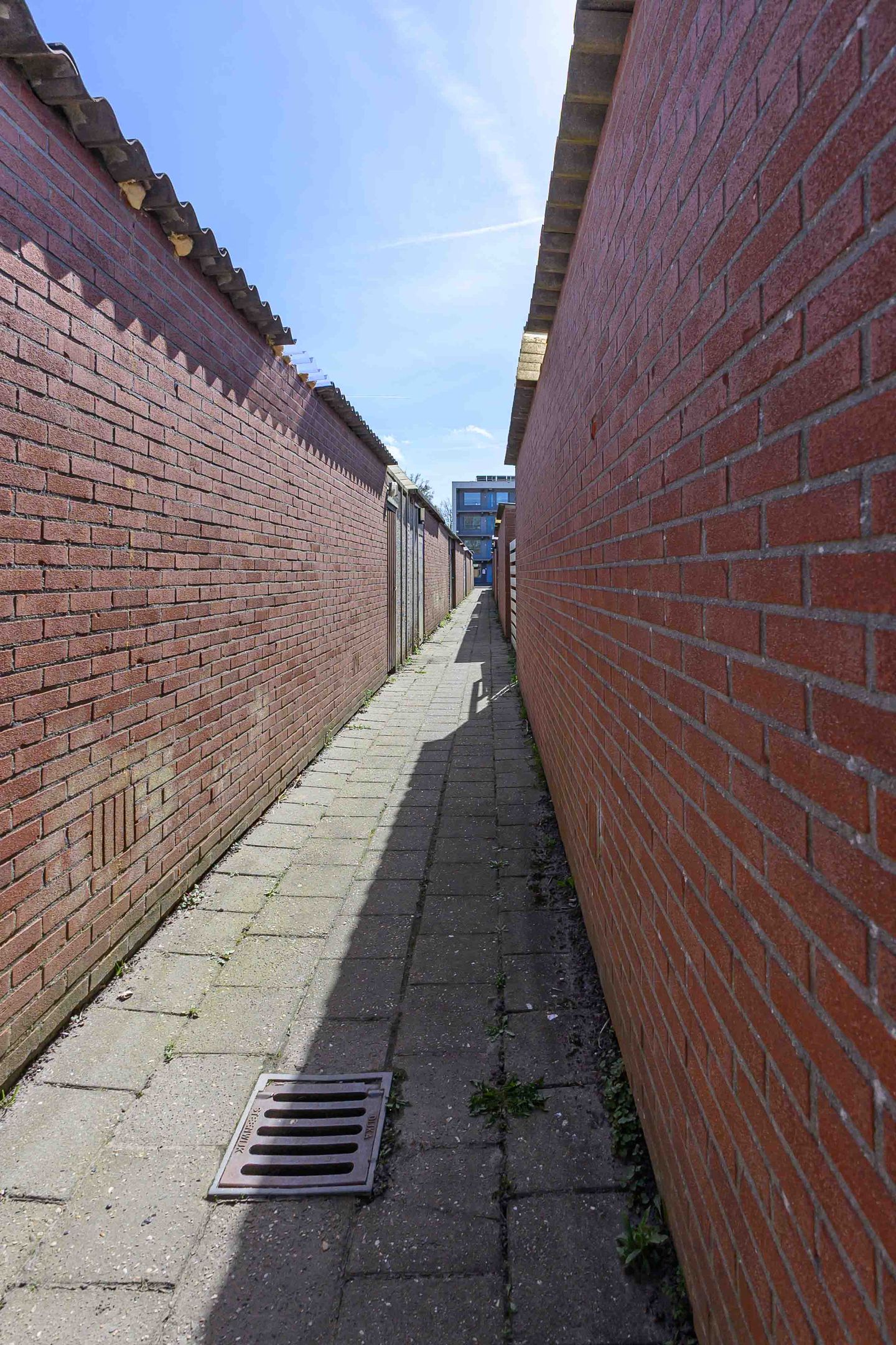 Foto 14 van Vrouwenzand 13