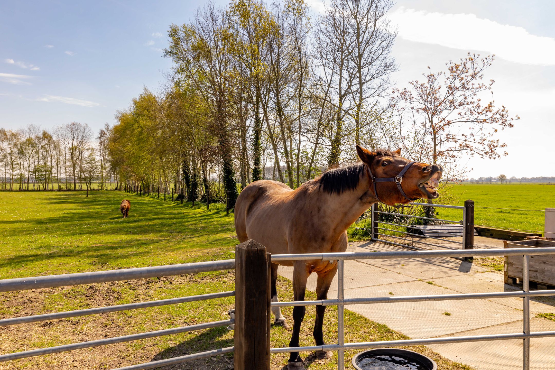 Foto 75 van Burgemeester Jansstraat 23-A