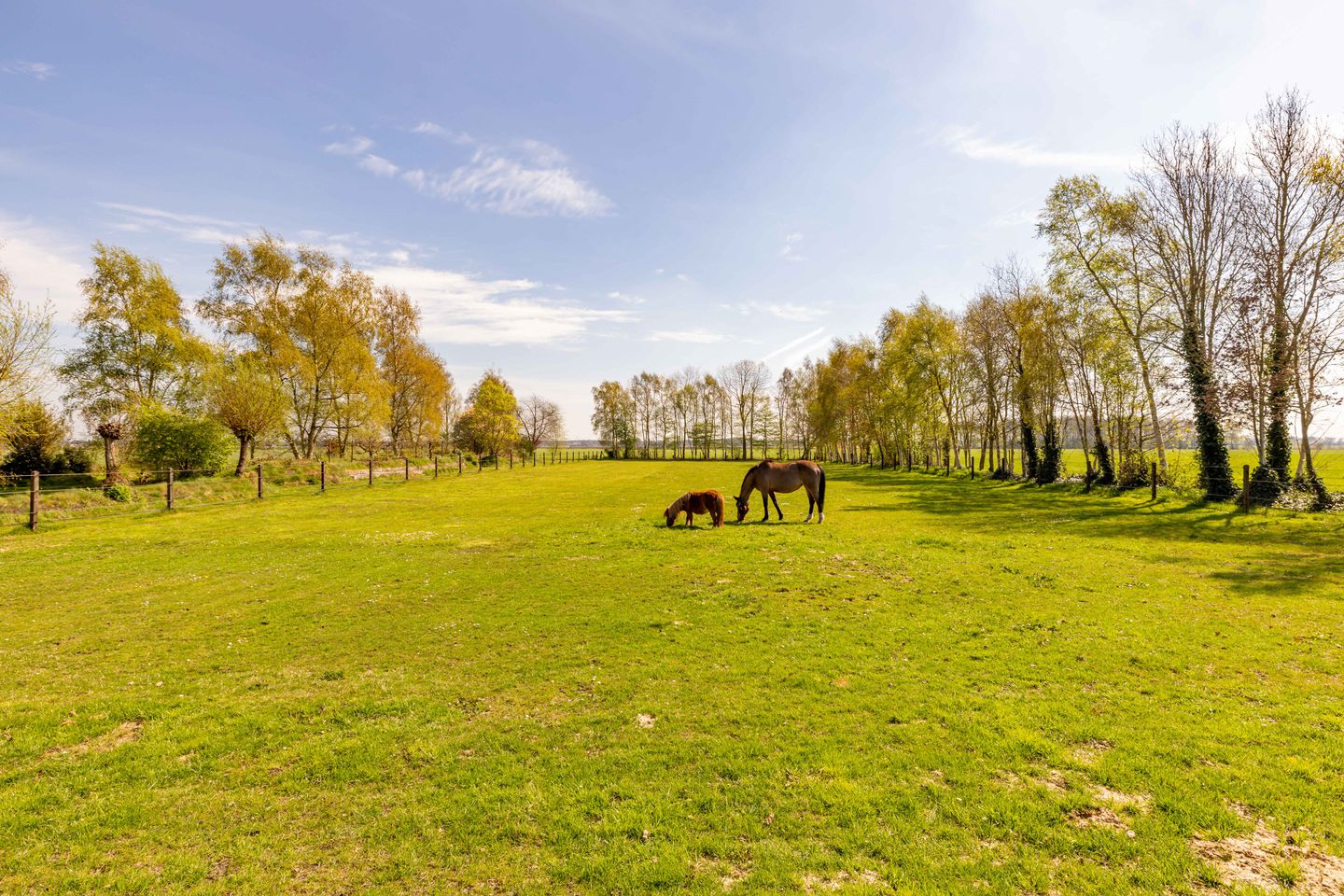 Foto 74 van Burgemeester Jansstraat 23-A