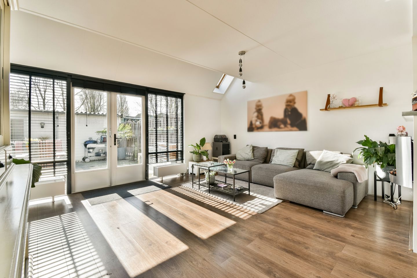 Photo 5 of Castor 25