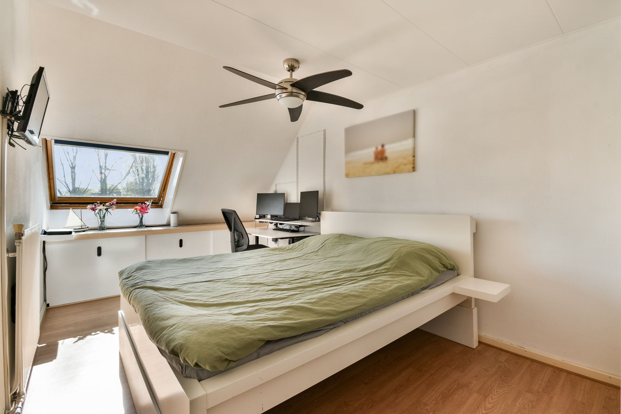 Photo 12 of Castor 25