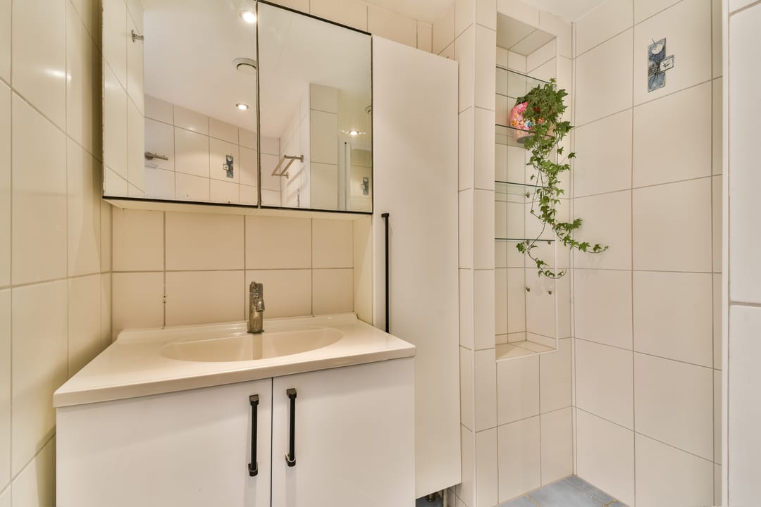 Photo 16 of Castor 25