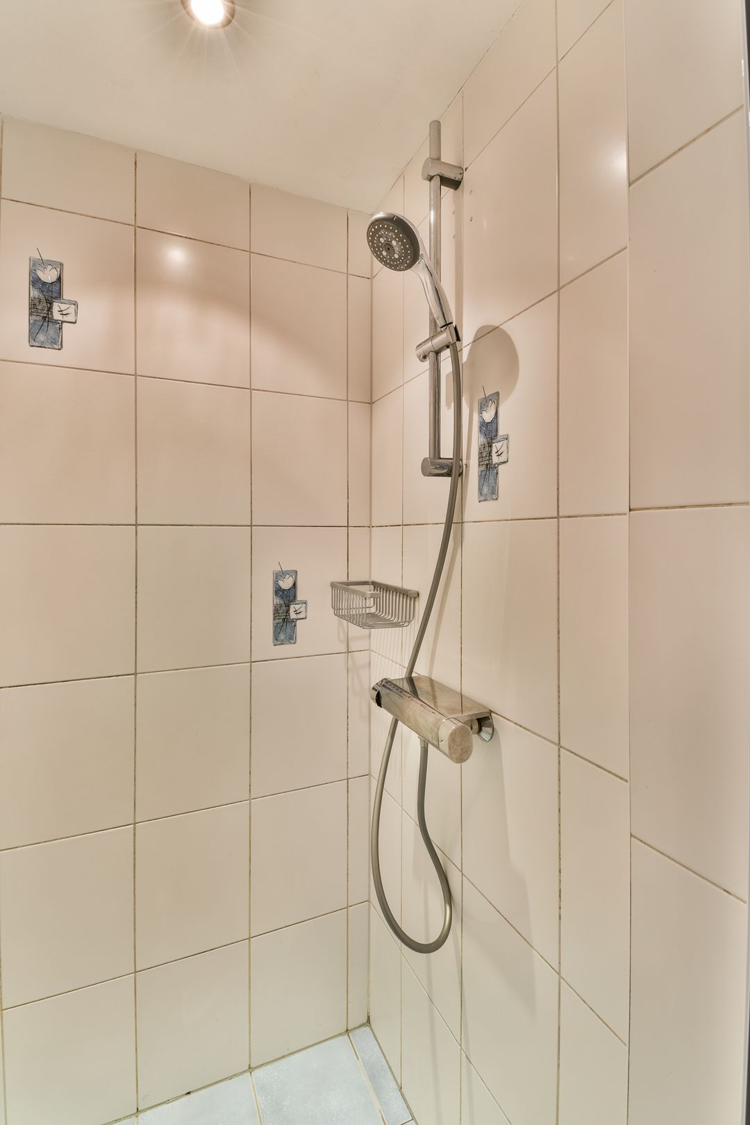 Photo 17 of Castor 25