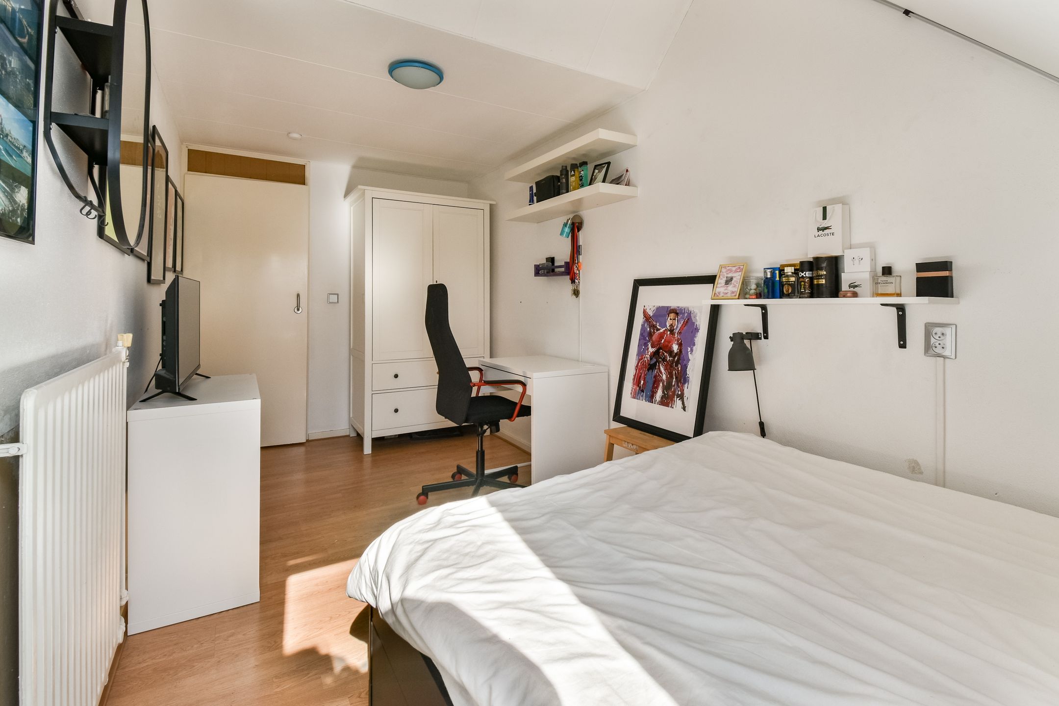 Photo 15 of Castor 25