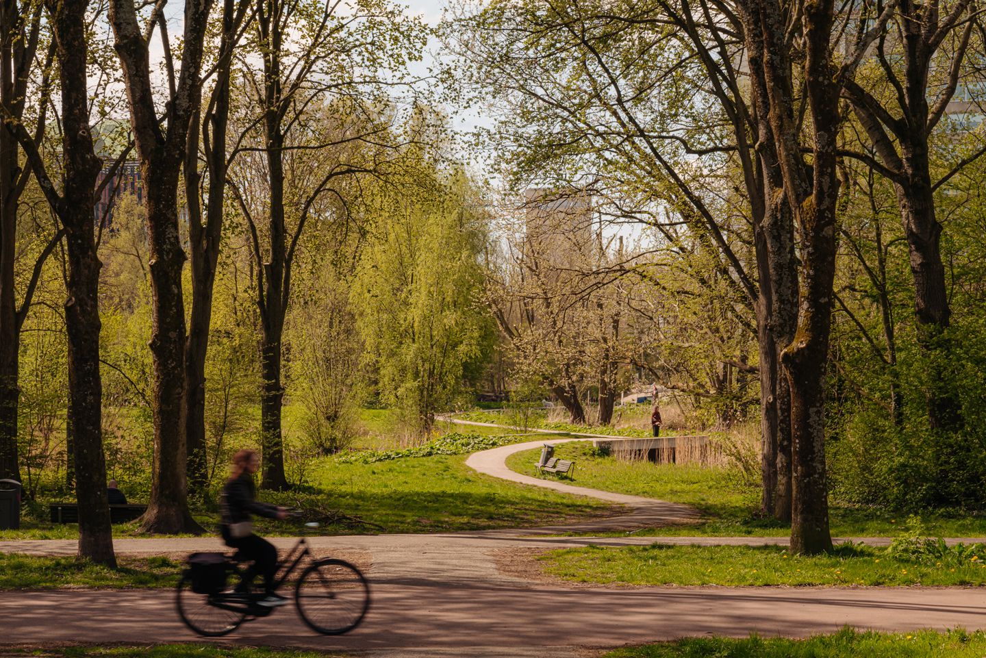 Foto 25 van Van Walbeeckstraat 32-4