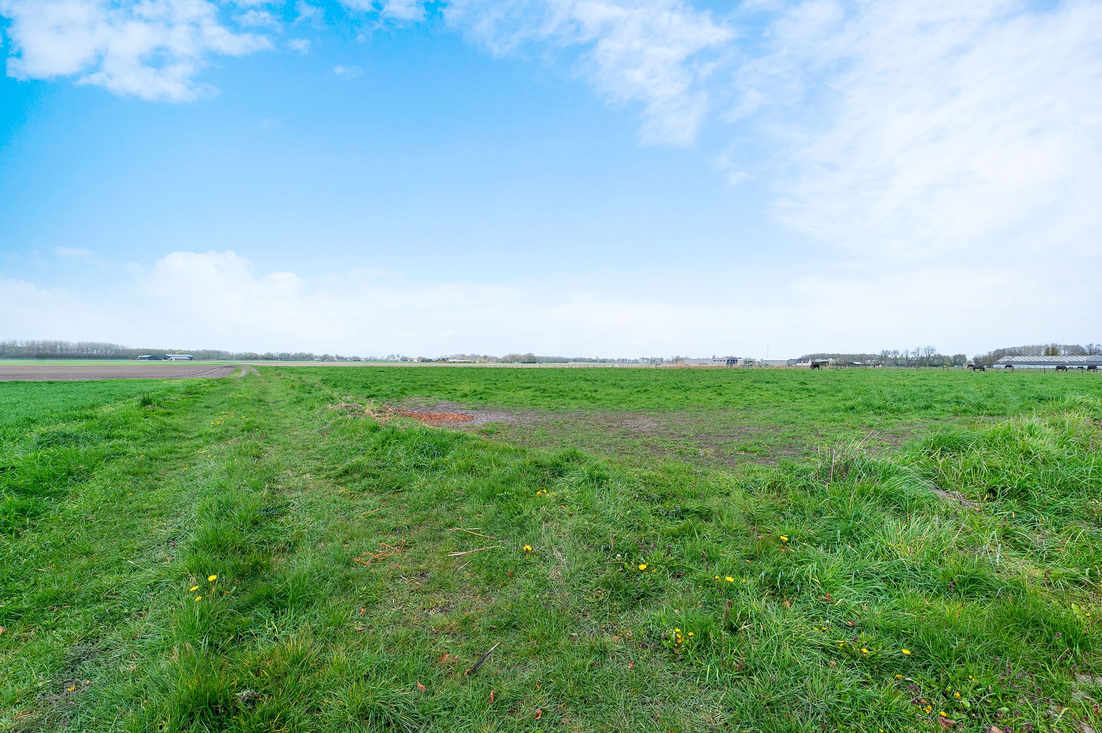 Photo 33 of Roosendaalsebaan 86