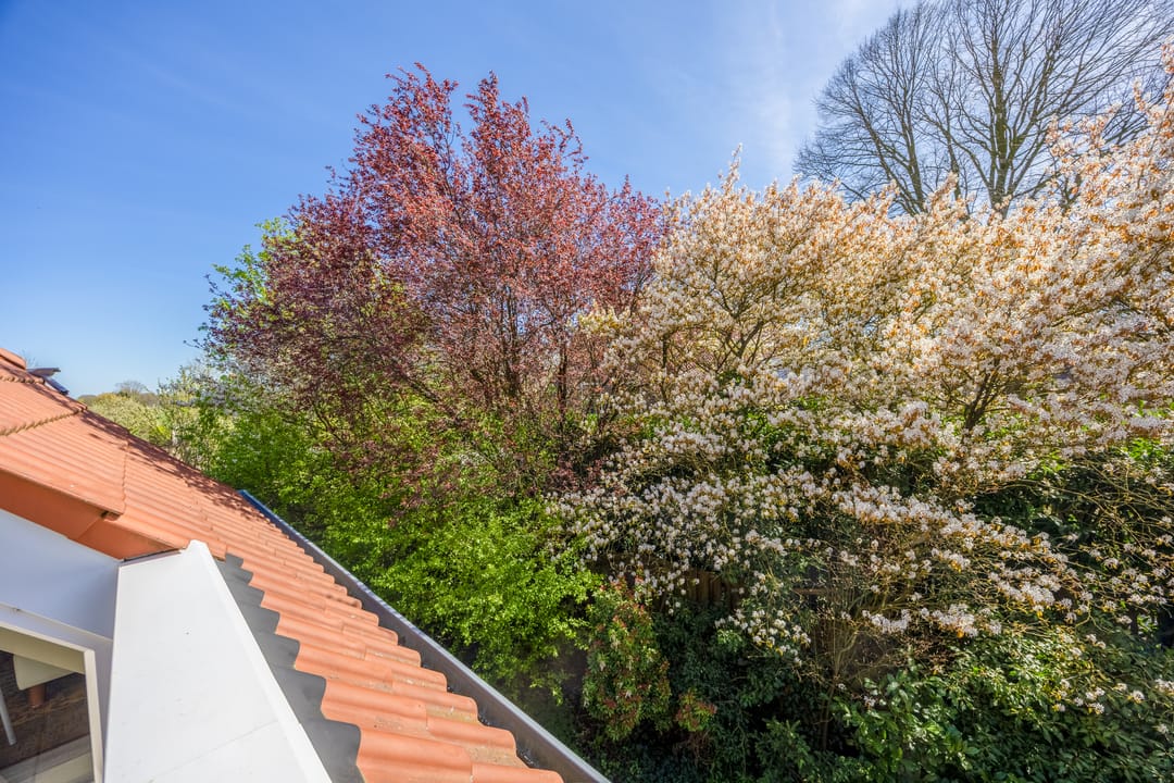 Photo 41 of Bredeweg 88-A