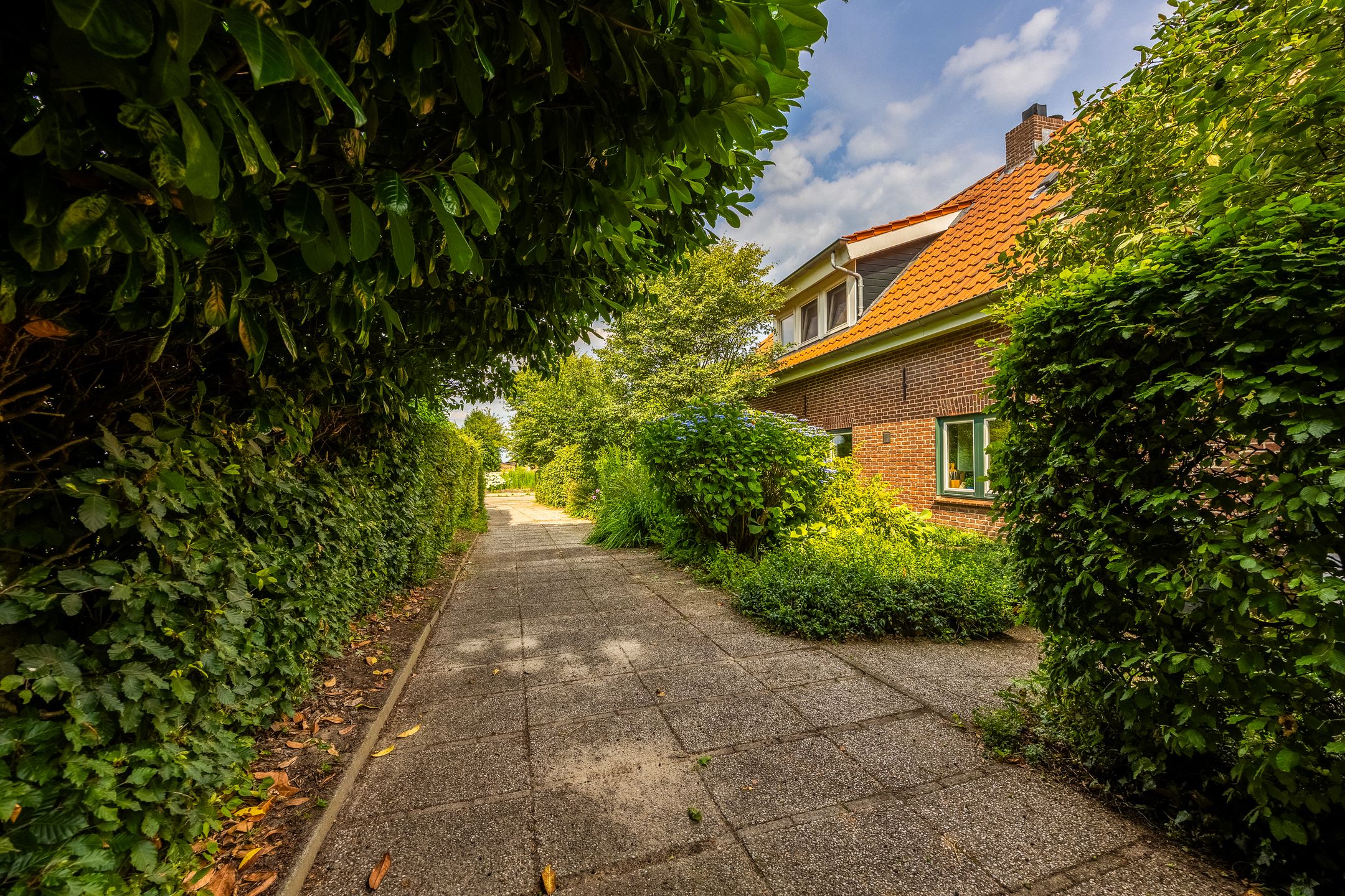 Photo 3 of Bredeweg 88-A