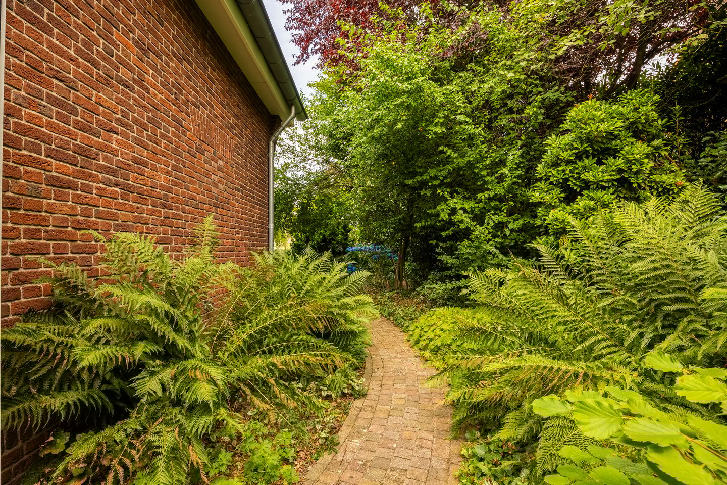 Photo 70 of Bredeweg 88-A