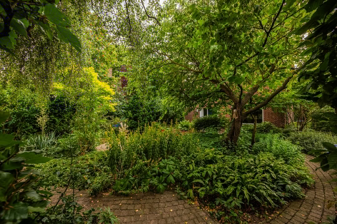 Photo 71 of Bredeweg 88-A